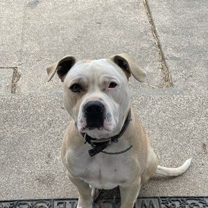 Meet your Posher, Gregory